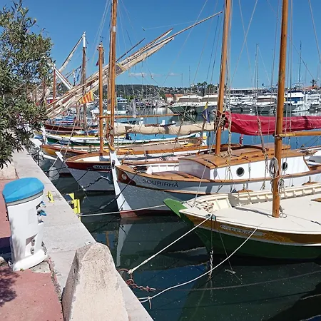 Joli T2 Climatise Avec Terrasse Et Piscine, Wifi Διαμέρισμα